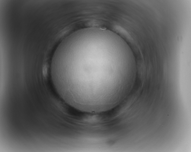 X0000088210071200705292101