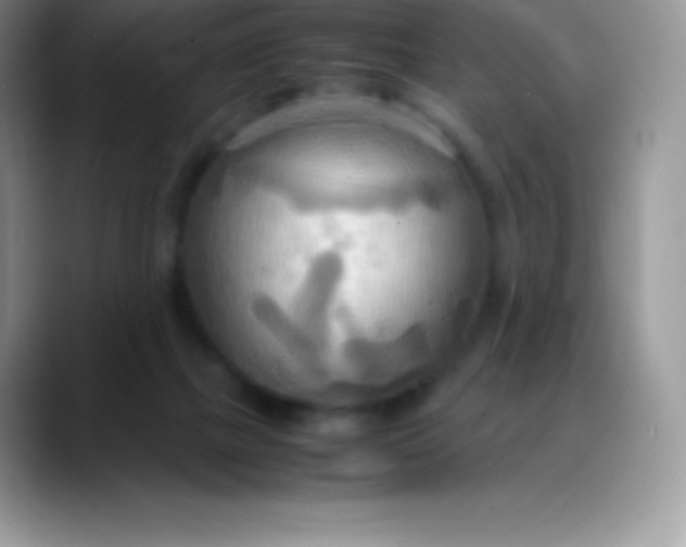 X0000088210073200705292101