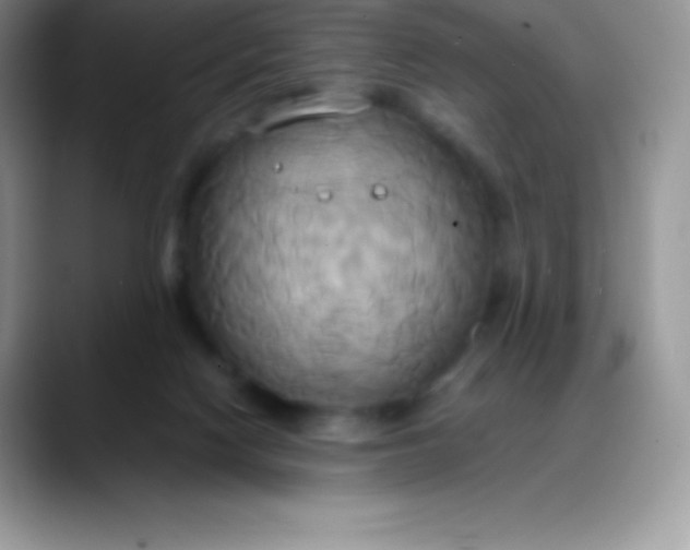 X0000088210074200705292101