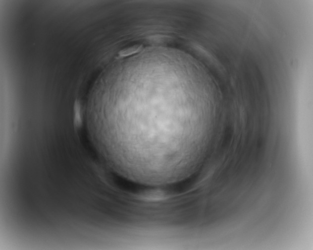 X0000088210075200705292101