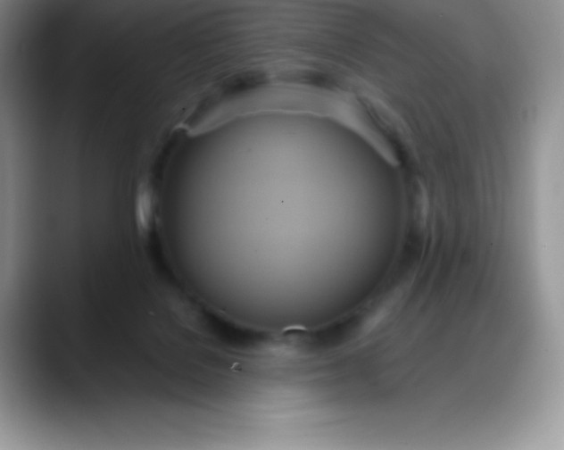 X0000088210076200705292101