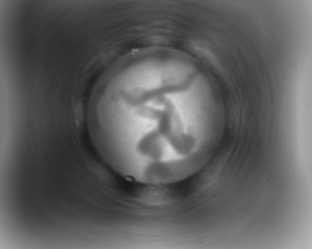 X0000088210077200705292101