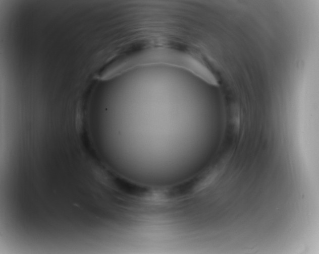 X0000088210080200705292101