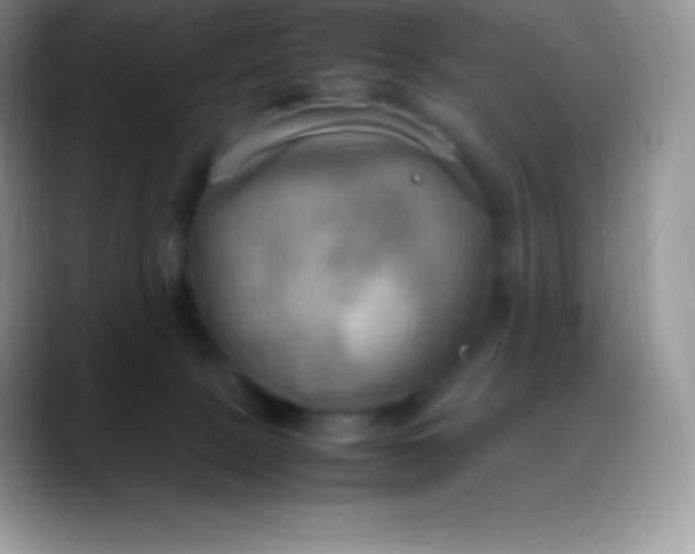 X0000088210081200705292101