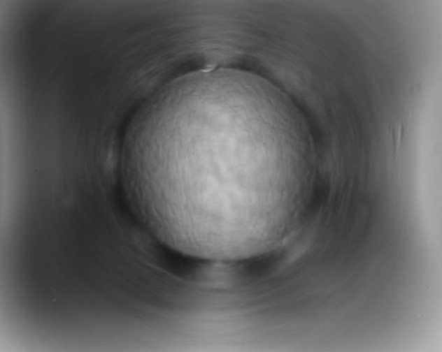 X0000088210082200705292101