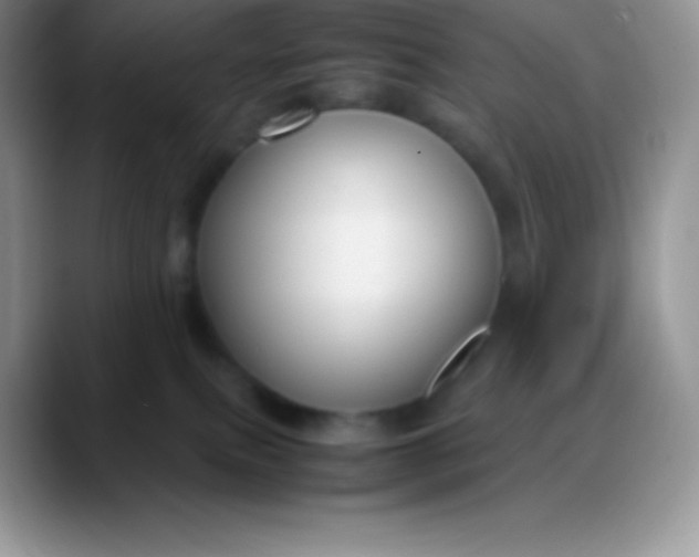 X0000088210087200705292101