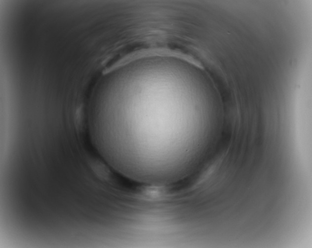 X0000088210088200705292101