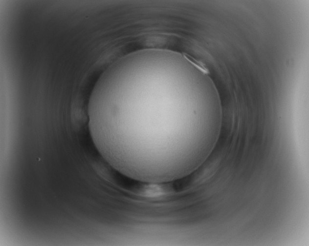 X0000088210091200705292101