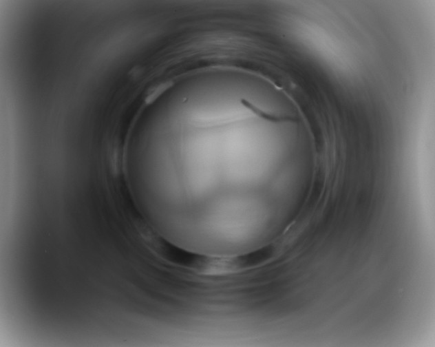 X0000088210093200705292101