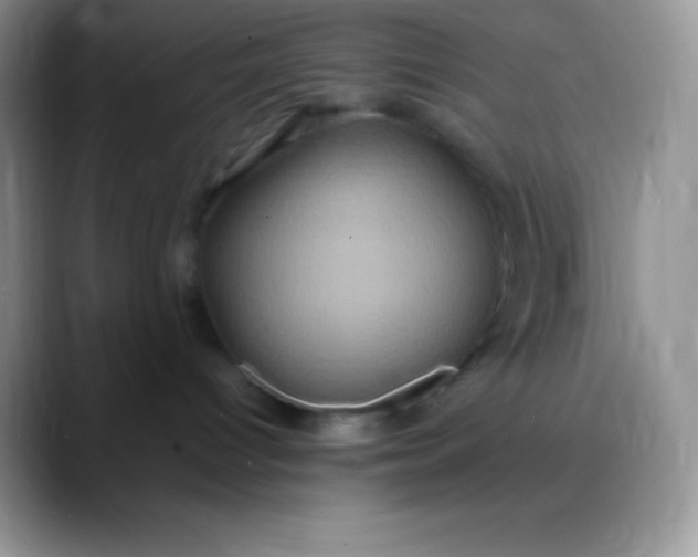 X0000088210096200705292101