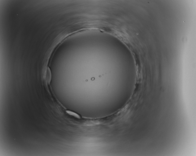 X0000088210099200705292100