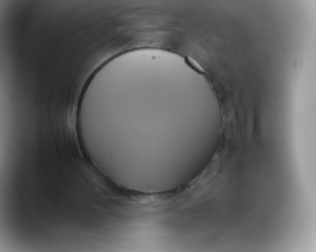 X0000088210100200705292100