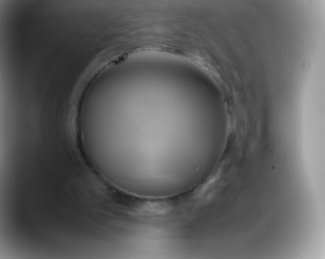 X0000088210101200705292100