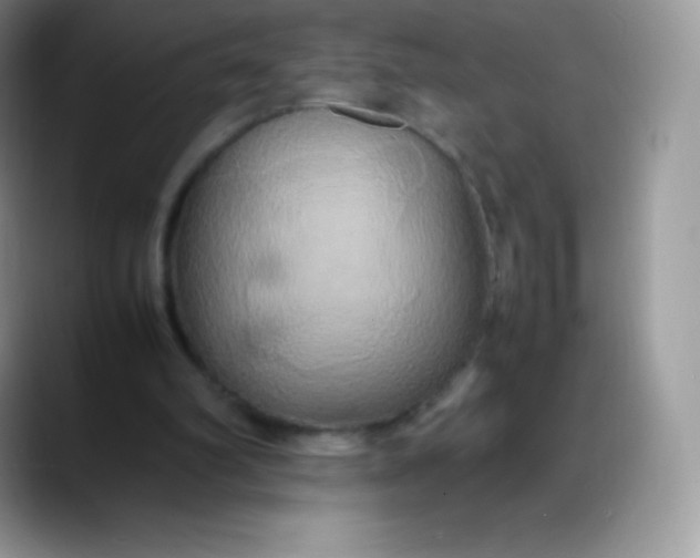 X0000088210102200705292100