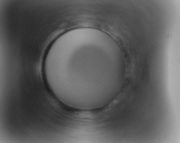 X0000088210104200705292100