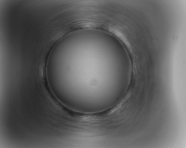 X0000088210105200705292100