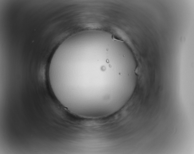 X0000088210106200705292100