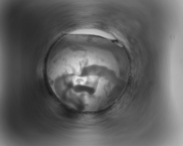 X0000088210107200705292100