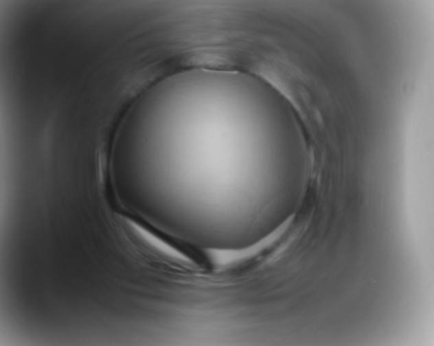 X0000088210109200705292100