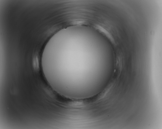 X0000088210110200705292100