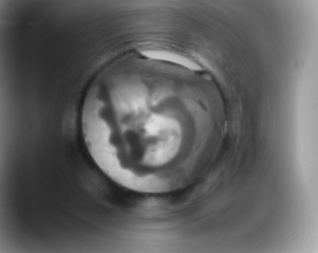 X0000088210111200705292100