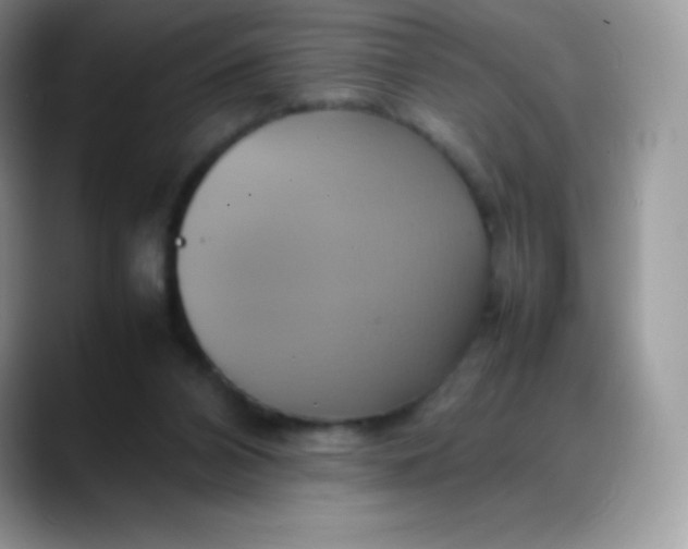 X0000088210112200705292100