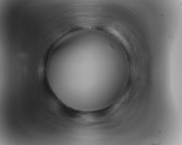 X0000088210113200705292100