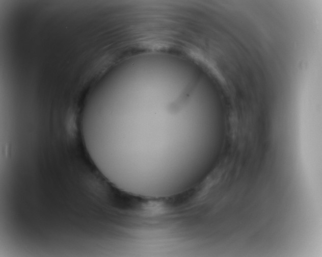 X0000088210114200705292100