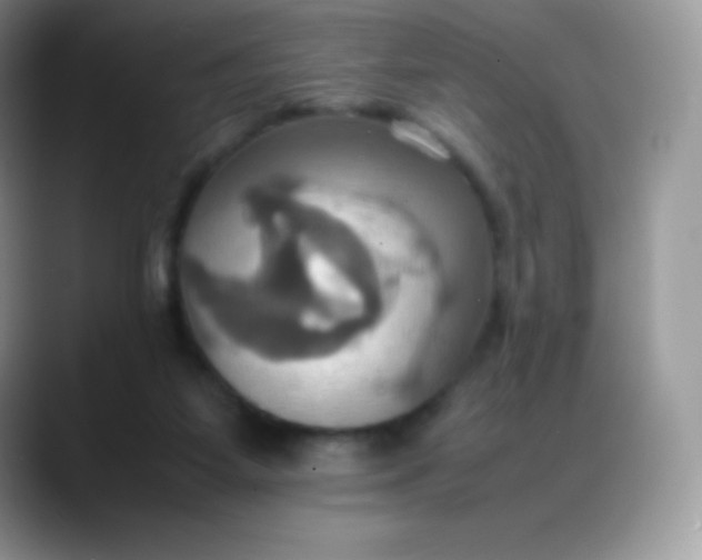 X0000088210115200705292100