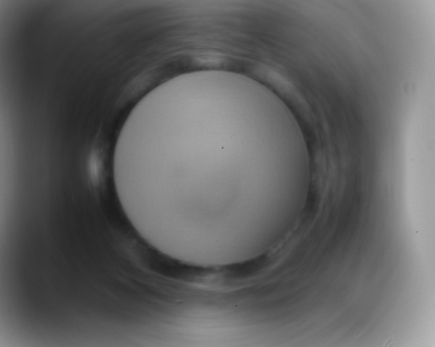 X0000088210116200705292100