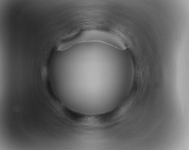 X0000088210117200705292100