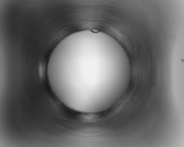 X0000088210118200705292100