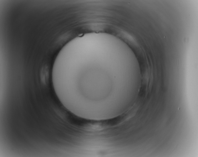 X0000088210120200705292100