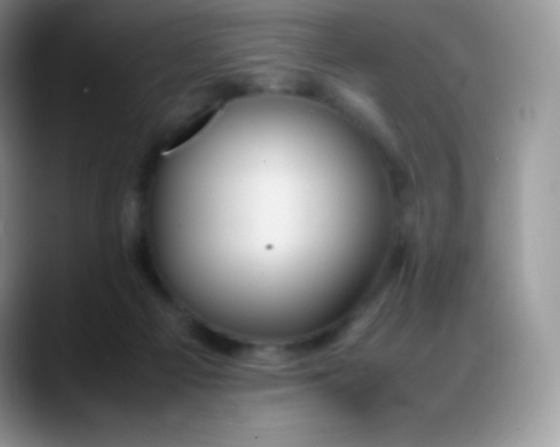 X0000088210121200705292100