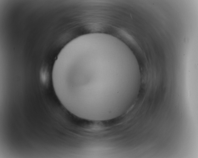 X0000088210124200705292100