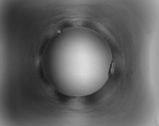 X0000088210125200705292100