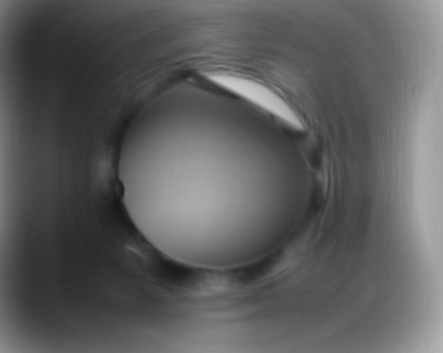 X0000088210127200705292100