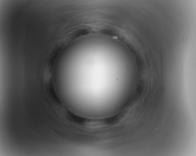 X0000088210129200705292100