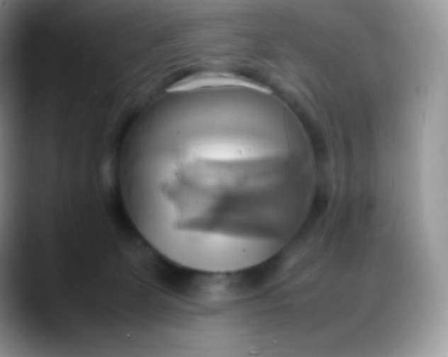 X0000088210131200705292100