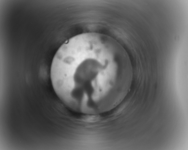 X0000088210135200705292100