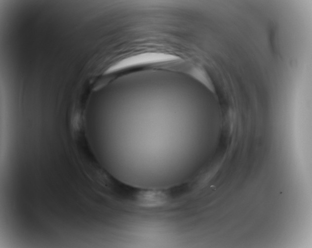 X0000088210137200705292100