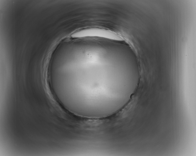 X0000088210145200705292059