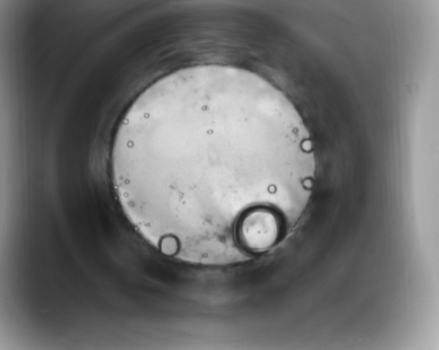 X0000088210146200705292059