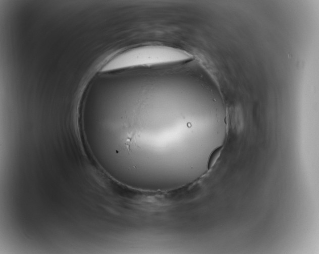 X0000088210147200705292059