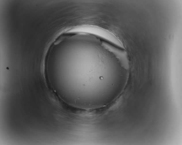 X0000088210148200705292059