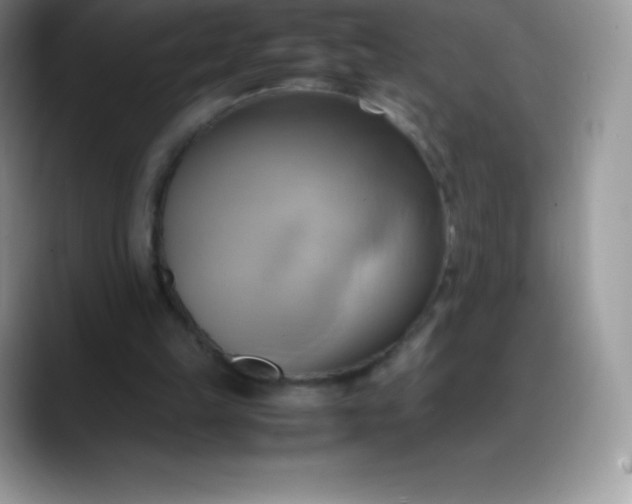 X0000088210149200705292059