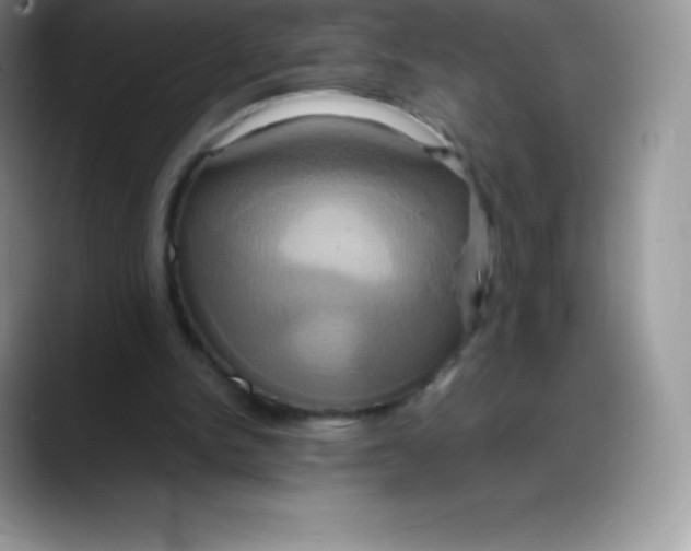 X0000088210150200705292059