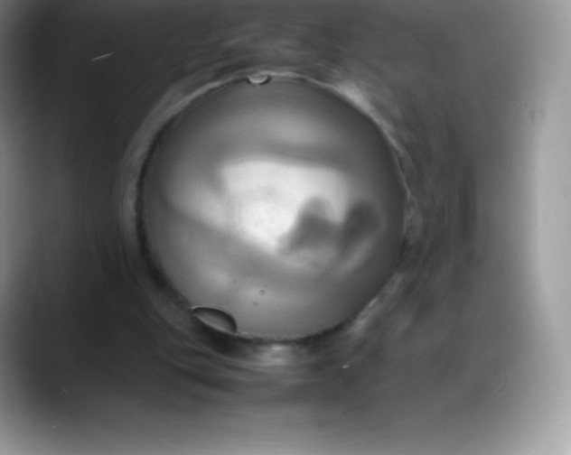 X0000088210151200705292059