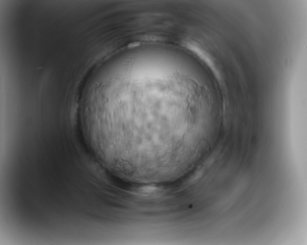 X0000088210153200705292059