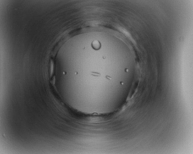 X0000088210154200705292059